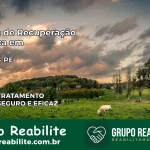Clínica de Recuperação Católica em Maraial | Internação 24h