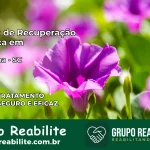 Clínica de Recuperação Católica em Maravilha | Internação 24h