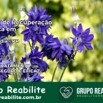 Clínica de Recuperação Católica em Matelândia | Internação 24h