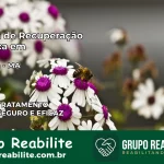 Clínica de Recuperação Católica em Matinha | Internação 24h