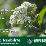 Clínica de Recuperação Católica em Mirador | Internação 24h