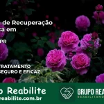 Clínica de Recuperação Católica em Missal | Internação 24h