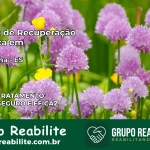Clínica de Recuperação Católica em Montanha | Internação 24h