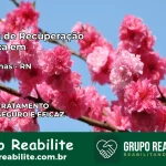 Clínica de Recuperação Católica em Montanhas | Internação 24h