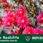 Clínica de Recuperação Católica em Montauri | Internação 24h