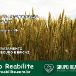 Clínica de Recuperação Católica em Monte Alegre | Internação 24h