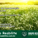 Clínica de Recuperação Católica em Monte Santo do Tocantins | Internação 24h