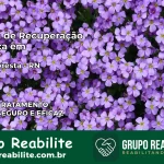 Clínica de Recuperação Católica em Nísia Floresta | Internação 24h
