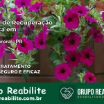 Clínica de Recuperação Católica em Nova Aurora | Internação 24h