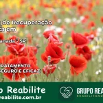 Clínica de Recuperação Católica em Nova Granada | Internação 24h