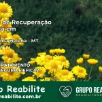 Clínica de Recuperação Católica em Nova Santa Helena | Internação 24h
