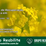 Clínica de Recuperação Católica em Nova Trento | Internação 24h