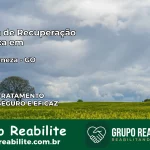 Clínica de Recuperação Católica em Nova Veneza | Internação 24h