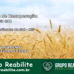 Clínica de Recuperação Católica em Novo Horizonte do Sul | Internação 24h