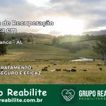 Clínica de Recuperação Católica em Ouro Branco | Internação 24h