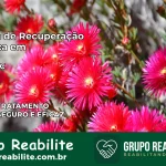 Clínica de Recuperação Católica em Ouro | Internação 24h