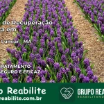 Clínica de Recuperação Católica em Paço do Lumiar | Internação 24h