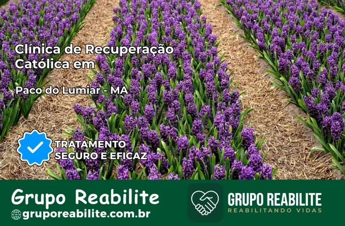 Clínica de Recuperação Católica em Paço do Lumiar | Internação 24h