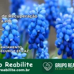 Clínica de Recuperação Católica em Paiva | Internação 24h