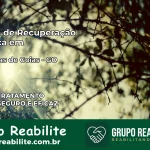 Clínica de Recuperação Católica em Palmeiras de Goiás | Internação 24h