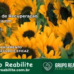 Clínica de Recuperação Católica em Paraí | Internação 24h