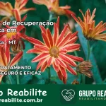Clínica de Recuperação Católica em Paranaíta | Internação 24h