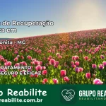Clínica de Recuperação Católica em Pedra Bonita | Internação 24h