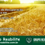 Clínica de Recuperação Católica em Pedro de Toledo | Internação 24h