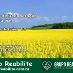 Clínica de Recuperação Católica em Petrolina de Goiás | Internação 24h