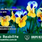 Clínica de Recuperação Católica em Piquerobi | Internação 24h