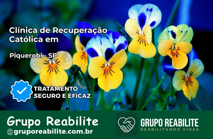 Clínica de Recuperação Católica em Piquerobi | Internação 24h