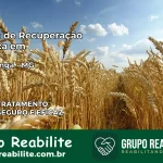 Clínica de Recuperação Católica em Pirapetinga | Internação 24h