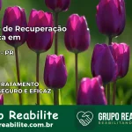 Clínica de Recuperação Católica em Pitanga | Internação 24h