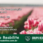 Clínica de Recuperação Católica em Pitangueiras | Internação 24h