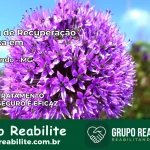 Clínica de Recuperação Católica em Poço Fundo | Internação 24h