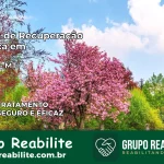 Clínica de Recuperação Católica em Poconé | Internação 24h