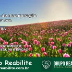 Clínica de Recuperação Católica em Pojuca | Internação 24h