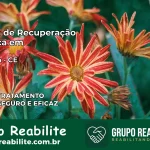 Clínica de Recuperação Católica em Poranga | Internação 24h