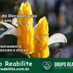 Clínica de Recuperação Católica em Pradópolis | Internação 24h