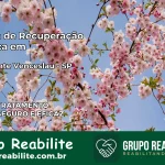 Clínica de Recuperação Católica em Presidente Venceslau | Internação 24h