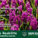 Clínica de Recuperação Católica em Prudentópolis | Internação 24h