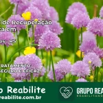 Clínica de Recuperação Católica em Quevedos | Internação 24h