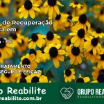 Clínica de Recuperação Católica em Quipapá | Internação 24h