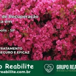 Clínica de Recuperação Católica em Reginópolis | Internação 24h