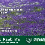 Clínica de Recuperação Católica em Riachuelo | Internação 24h