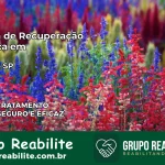 Clínica de Recuperação Católica em Ribeira | Internação 24h