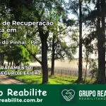 Clínica de Recuperação Católica em Ribeirão do Pinhal | Internação 24h