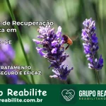 Clínica de Recuperação Católica em Ribeirão | Internação 24h