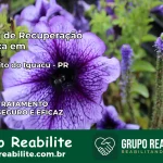 Clínica de Recuperação Católica em Rio Bonito do Iguaçu | Internação 24h