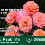 Clínica de Recuperação Católica em Rio das Flores | Internação 24h
